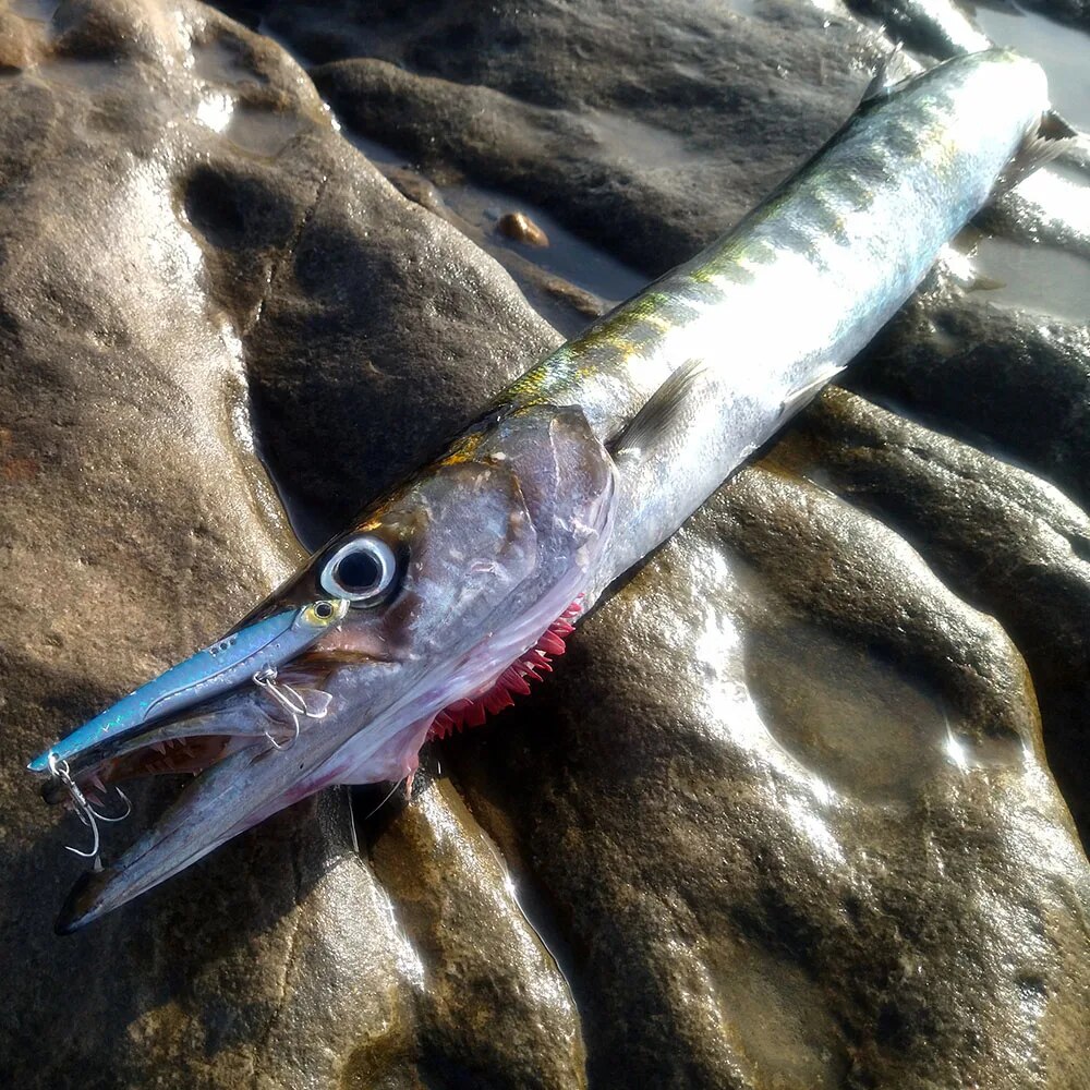 GOBAIT VIB Fishing Lure 20g 25 - مراجعة Fishing Hook Treble وسعره