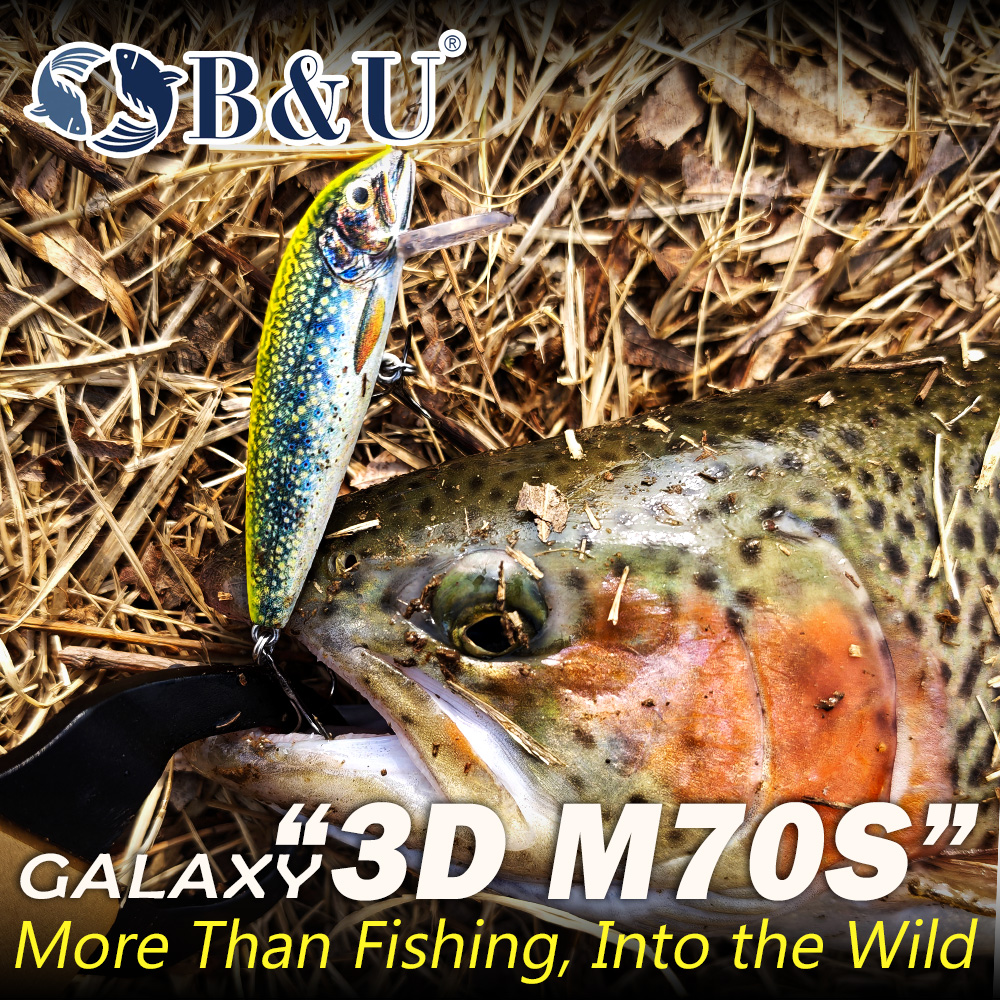 B&U Sinking Minnow Fishing Lur - مراجعة Fishing Hook Treble وسعره