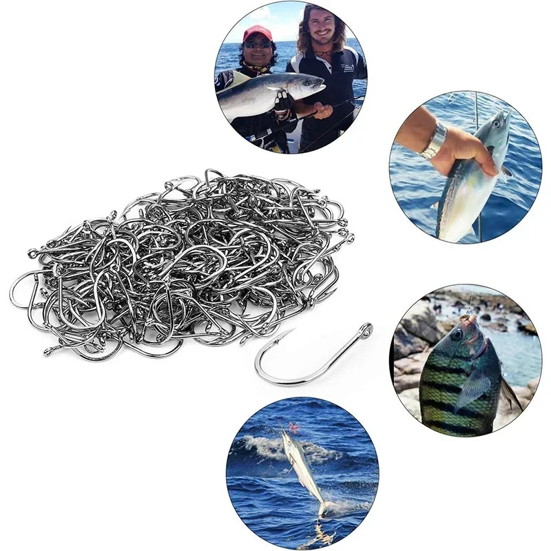 50-1600Pcs/BoxFishing Hooks Ca - مراجعة Fishing Hook Circle وسعره