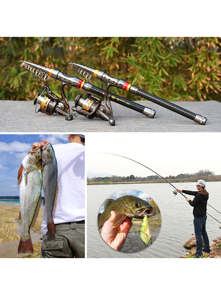 Fishing Rod Spinning Reel Comb - مراجعة Fishing Hook Jig وسعره